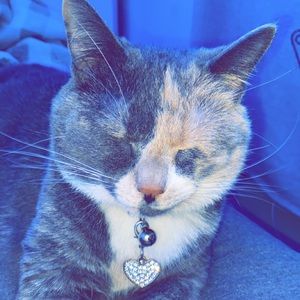 Meet your Posher, Grace